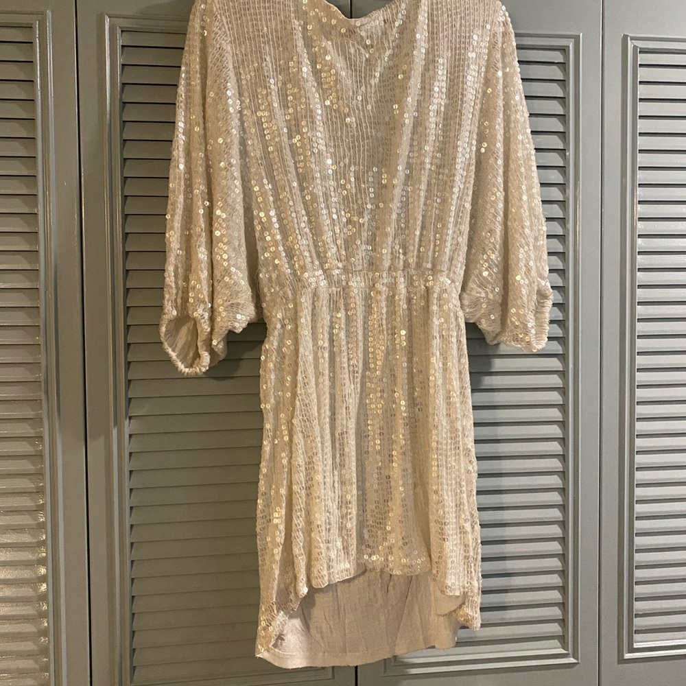 Show Me Your MuMu Sequin Dress